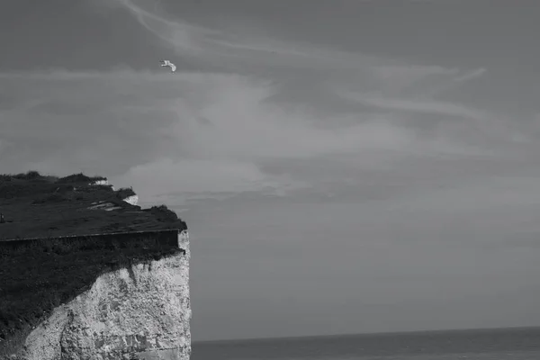 Los Acantilados Blancos Burling Gap Eastbourne Espectacular Paisaje Formación Roca — Foto de Stock