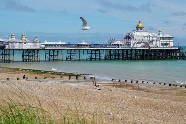 Eastbourne, Doğu Sussex, İngiltere 4 Temmuz 2021: Sahilden Eastbourne İskelesi 'ne bakıyorum. Marram otları ön planda yetişir ve bir martı kiremit plajında uçar..