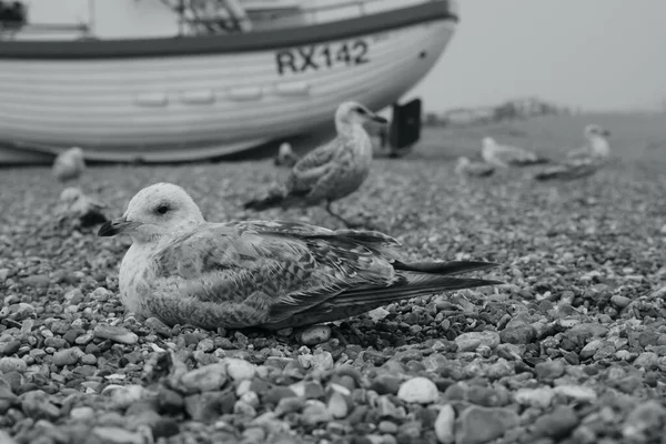 Hastings East Sussex England July 2Nd 2021 Misty Foggy Day — Stock Photo, Image