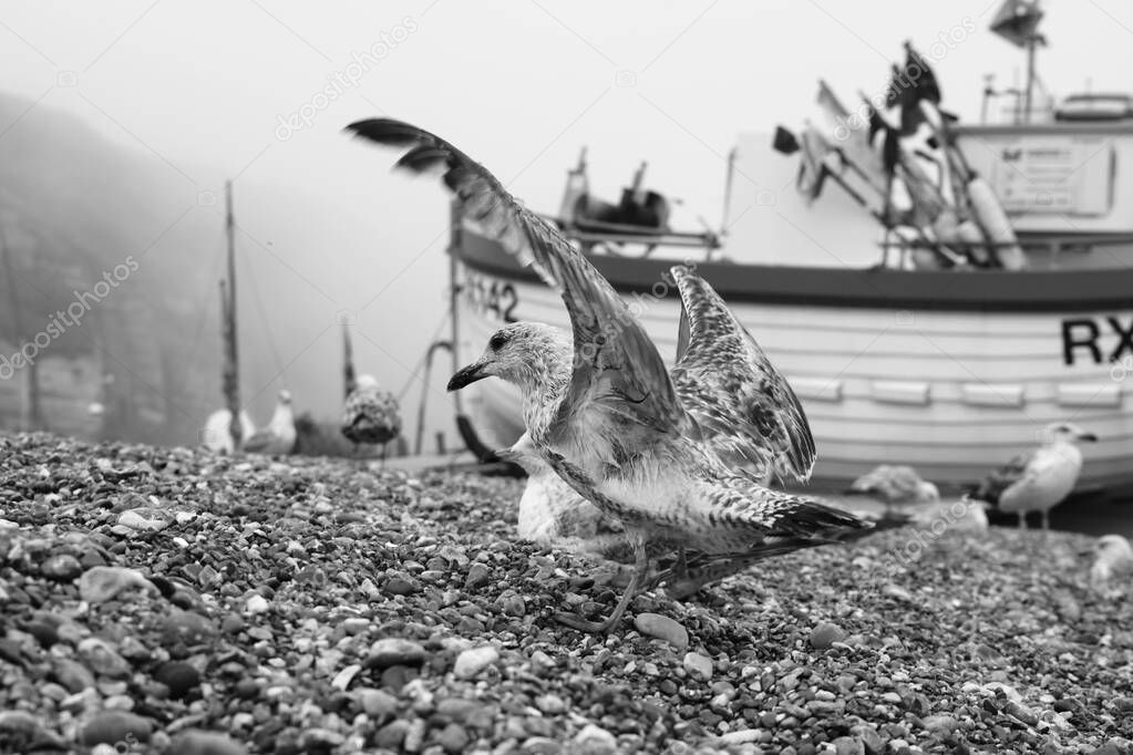 It is a misty, foggy day in Hastings and the boats are shrouded in sea mist as they lay on the shingle beach waiting for the next high tide. 