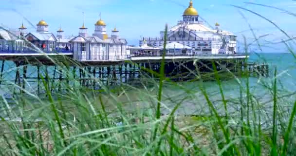 Eastbourne East Sussex Inggris Juli 2021 Marram Memukul Bagian Depan — Stok Video