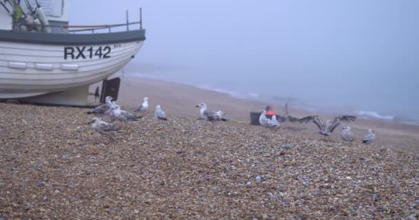 Hastings Sussex England Juli 2021 Film Fiskebåt Insvept Havsdimma Dimmig — Stockvideo