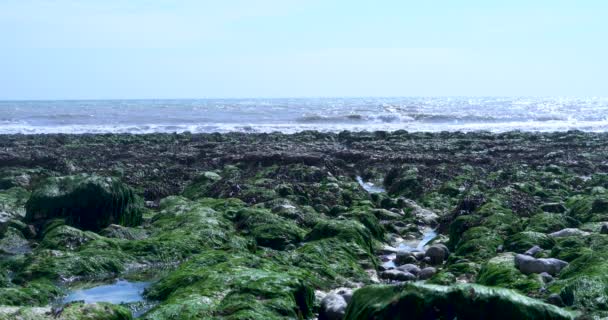 Horké Léto Eastbourne Burling Gap Příliv Odplouvá Zanechává Třpytivou Vodu — Stock video