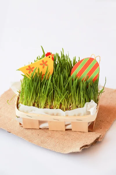 Decoración de Pascua con pollo, huevo y hierba — Foto de Stock