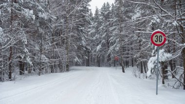 30 km 'lik bir hız limiti olan kozalaklı bir ormandan geçen bir yol..