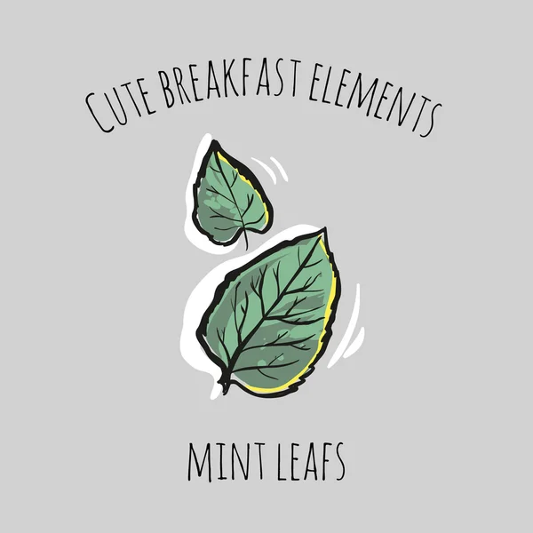 Carino elementi per la colazione: foglie di menta — Vettoriale Stock