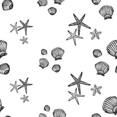 taslak deniz yıldızı ve deniz kabuklarını model