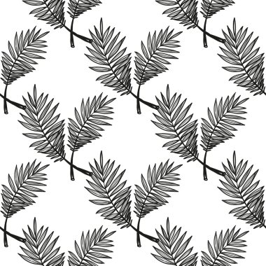 çizgi film palmiye yaprakları desen