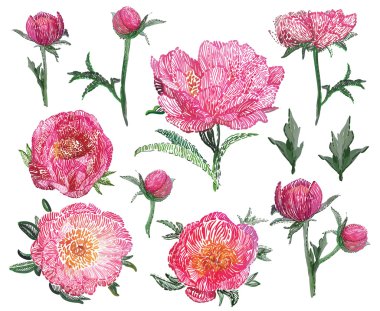 Şakayık flowes desen 