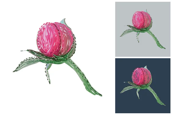 Peony flowes kaarten — Stockvector