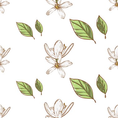 beyaz çiçek deseni el çekilmiş