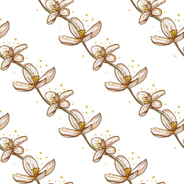 beyaz çiçek deseni el çekilmiş