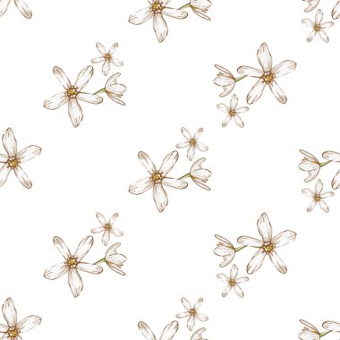 beyaz çiçek deseni el çekilmiş