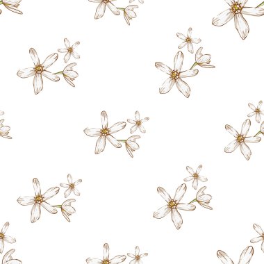 beyaz çiçek deseni el çekilmiş