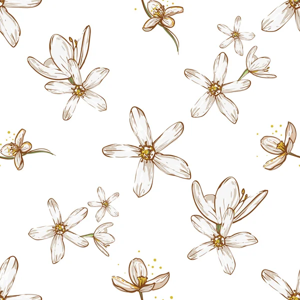 Patrón de flores blanco dibujado a mano — Archivo Imágenes Vectoriales