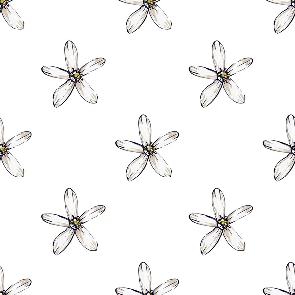 Dessin à la main motif de fleurs blanches — Image vectorielle