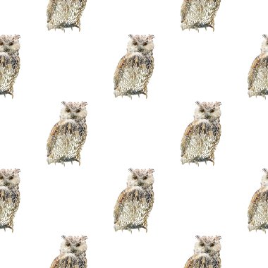 baykuş seamless modeli