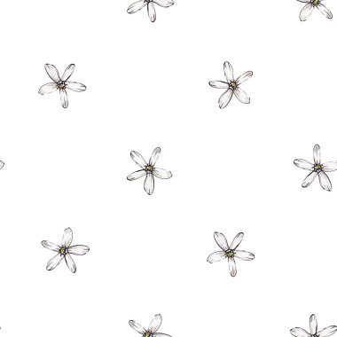 beyaz çiçek deseni el çekilmiş