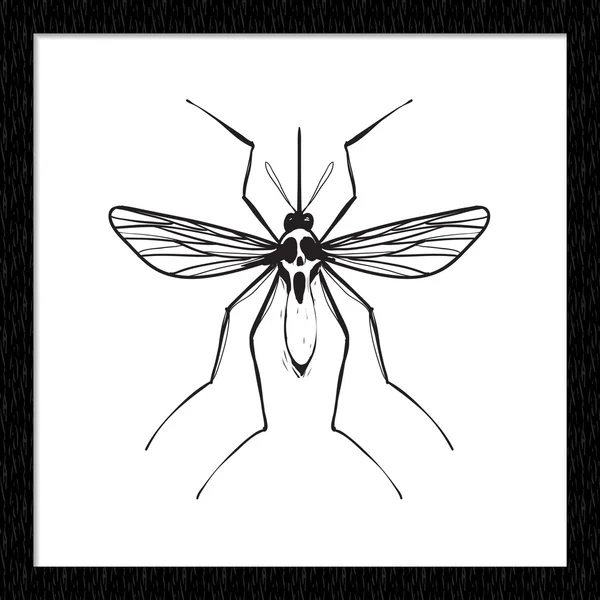 Label with infectious mosquito — Stock vektor