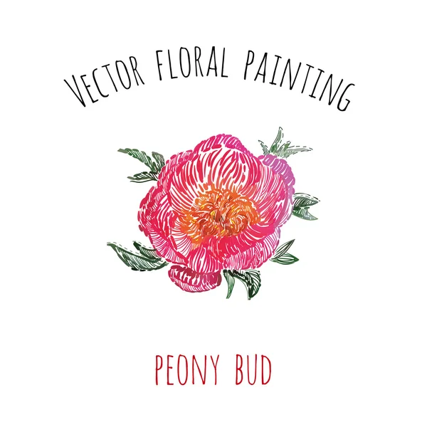 Pintura floral: broto de peônia, cartão de saudação simples — Vetor de Stock