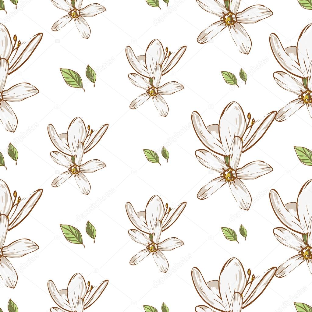 hand drawn white flowers pattern