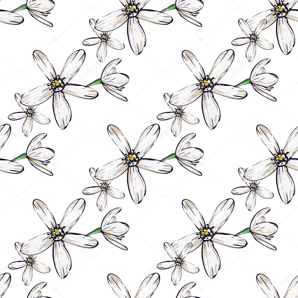 hand drawn white flowers pattern