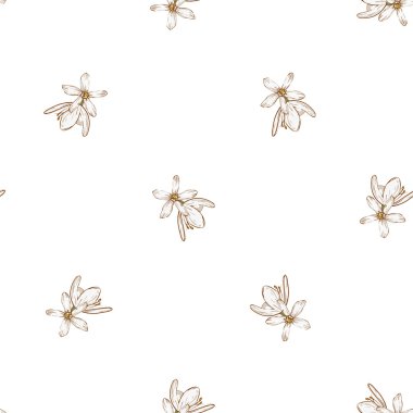 beyaz çiçek deseni el çekilmiş