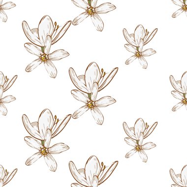 beyaz çiçek deseni el çekilmiş