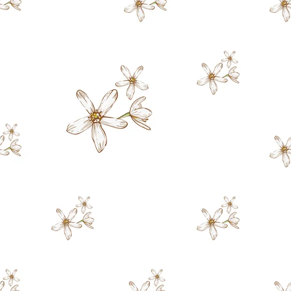 手绘白色花朵图案 — 图库矢量图片