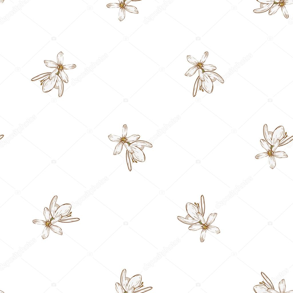 hand drawn white flowers pattern