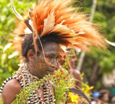  Young Papuan women with tribal face painting, dressed in traditional bird feather head wear clipart