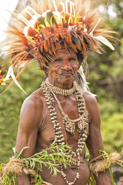 Jovens guerreiros tribais papuas vestidos com saias de grama tradicionais, roupas de cabeça de penas de pássaro, colares de conchas e jóias, durante a dança ritual tradicional na aldeia local da ilha. — Fotografia de Stock