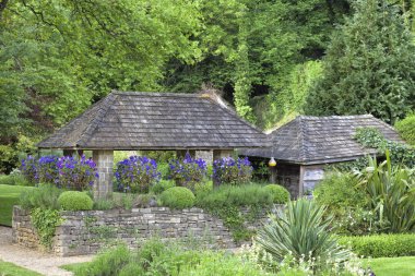 Yeşil Yaz İngilizce Bahçe sepetleri olgun ağaçlar bir arka plan üzerinde taş Bahçe evde asılı içinde mavi viola çiçekli