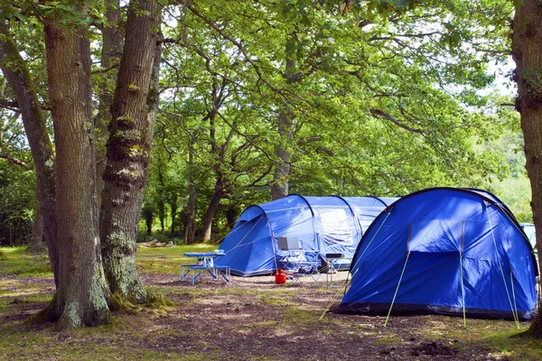 Big blue family tents in a camp site in a forest