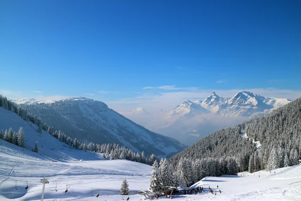 Bulutsuz bir günde Alp sahne kar kaplı