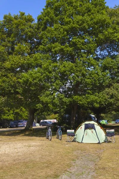 Woodland Camping i New forest, England — Stockfoto