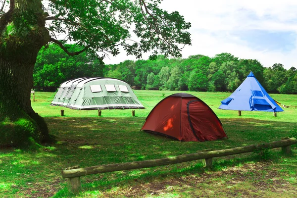 Цветные палатки на краю леса — стоковое фото