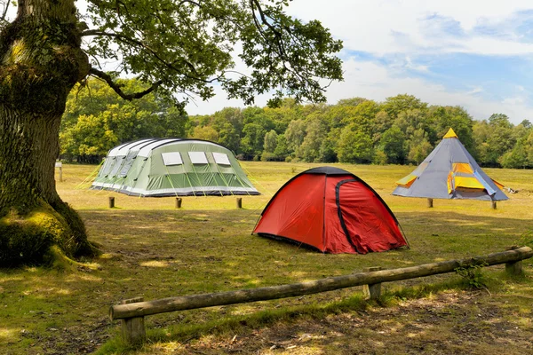 Три больших красочных палатки в лесном лагере — стоковое фото