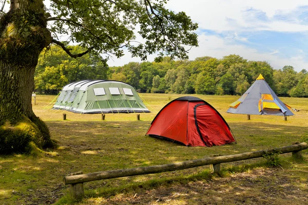 Üç büyük renkli çadırları woodlands kamp