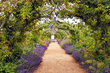 Colourful English summer flower garden with a path under archway clipart