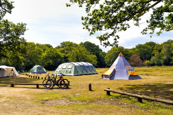 Красочные палатки в лесном лагере в солнечный летний день — стоковое фото
