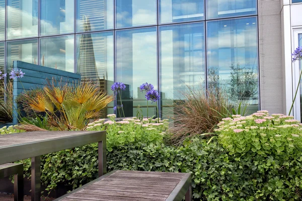 Jardin sur le toit d'été sur un toit d'un bâtiment en verre moderne — Photo