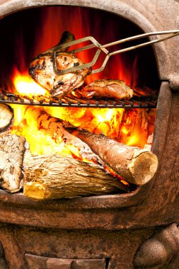 Açık ateş durumda ızgara tavuk ile Yaz Barbekü