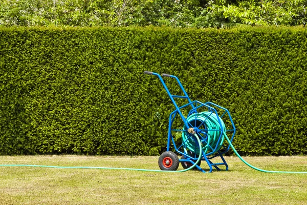 Blå tunga trädgård slangvinda, vagn för trädgård vattning på torkade ut gräsmatta som drabbats av torkan — Stockfoto