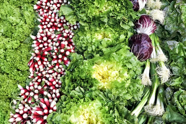 Świeże organicznych zielonej sałaty, rzodkiewki, szczypiorkiem na straganie — Zdjęcie stockowe