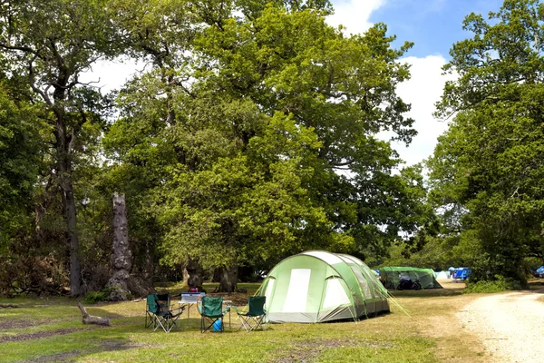 新しいフォレスト キャンプ場の木々 の下でキャンプのテント — ストック写真
