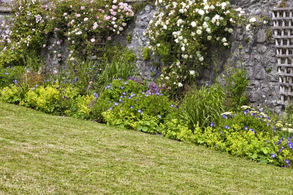 Hüttengarten bunte Blumen, rosa und weiße Kletterrosen am Spalier an steingrauer Wand vor grünem Gras, an heißen Sommertagen — Stockfoto