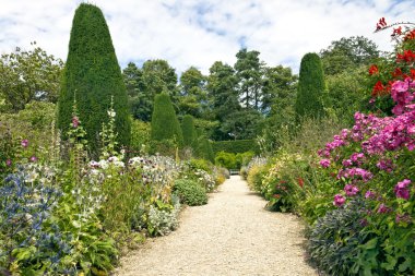 Stone pathway leading to a white bench, with cottage colourful flowers in bloom on both sides, shaped conifers, shrubs and tall trees in an English garden on a sunny summer day clipart