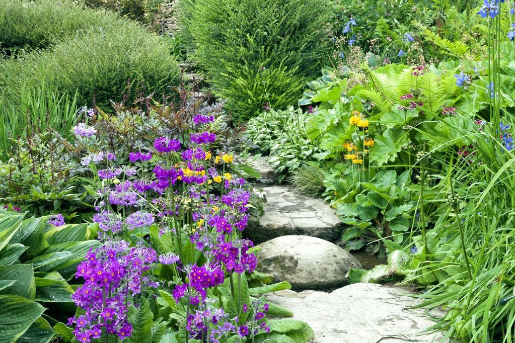 Stone Steps Going Through Charming English Cottage Garden Full Of