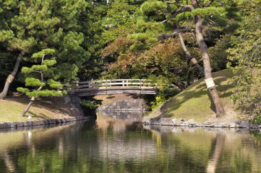 İmparatorluk Japon sonbahar Bahçe ahşap köprüde bir göl, çam ağaçları ve nehir su yansımaları ile